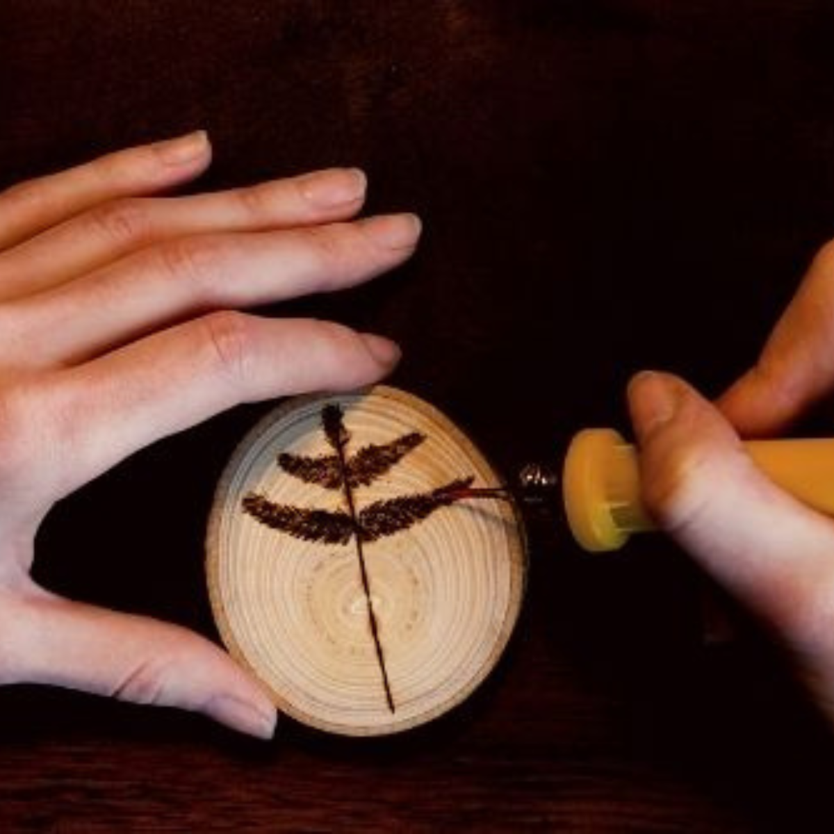Pyrography - Wood Burning Set (Professional)