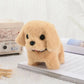 Chennile Pipe Cleaner Crafts Kits