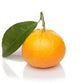 Fragrance Oils